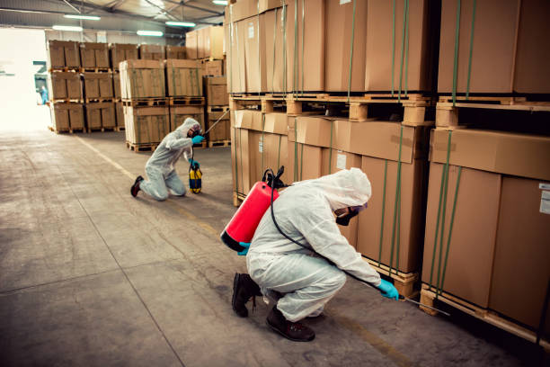Best Bed Bug Extermination  in Williamsport, OH