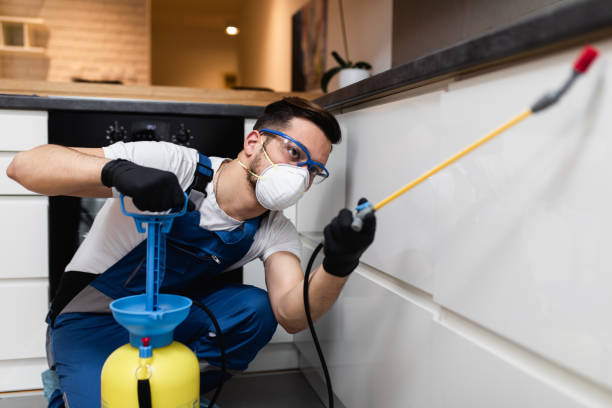 Best Best Pest Control Companies  in Williamsport, OH