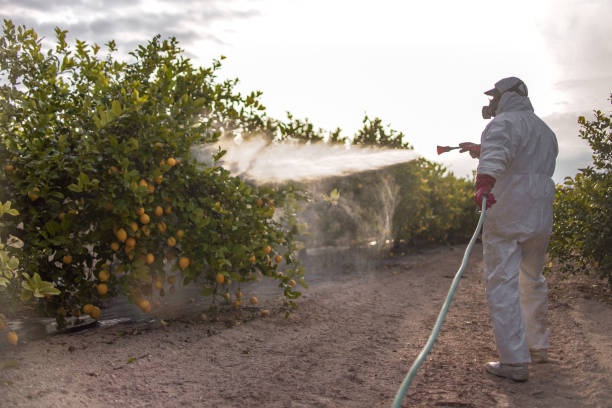Best Wasp Removal Services  in Williamsport, OH