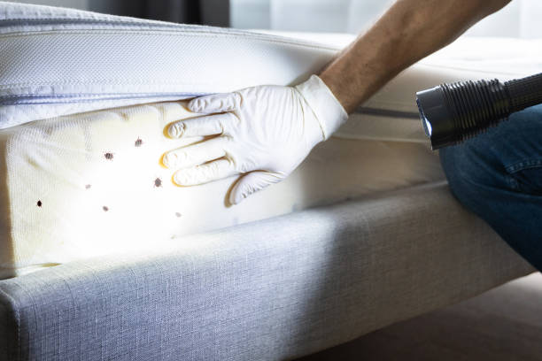 Best Affordable Pest Control Services  in Williamsport, OH