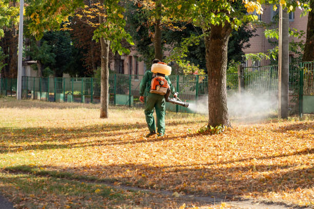 Best Best Pest Control Companies  in Williamsport, OH